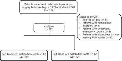 Association between red blood cell distribution width and mortality in patients with metastatic brain tumors: A retrospective single-center cohort study